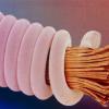 Corda di chitarra