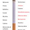 Ecco cosa contiene una sigaretta