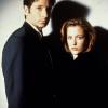 3 - X Files