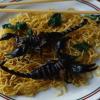 Spaghetti allo Scorpione!