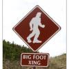 8 Attenti al Big Foot. 