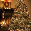 Albero e calza della Befana.