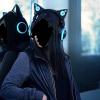 Cuffie con le orecchie da gatto.