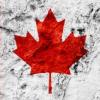 La nazione in cui si fa più sesso è il Canada