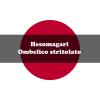Ombelico stritolato