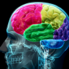 12. Intelligenza