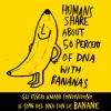 Le banane e noi