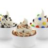  Gusto Yogurt