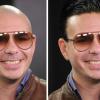 Pitbull