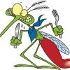 Acido lattico, ammoniaca e acido urico