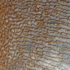 Rub' Al Khali, penisola araba