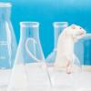 2. Ci sono morti a causa dei farmaci sperimentati sugli animali