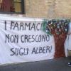 5. La sperimentazione animale è inutile