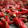 2.     Il peperoncino