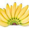  Banane e DNA