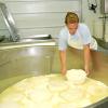 Come si fa il formaggio? 