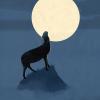 Il lupo che ulula alla luna?