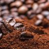 Il caffè