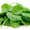 Spinaci
