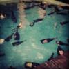 Pool party da ricchi!