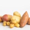Patate