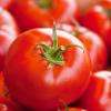Pomodori
