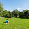 Al parco