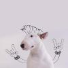 Il cane metallaro!