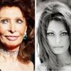 Sophia Loren