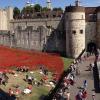 Una visione dall'alto della White Tower