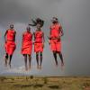10.  La danza dell’accoppiamento