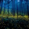 La natura ci lascia sempre a bocca aperta