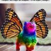 3 in 1: gattino, unicorno e farfalla