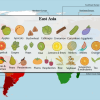 Asia