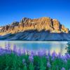 6) Canada