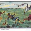 A pesca… di gabbiani! 