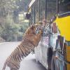L'avventura in questo zoo sembra essere molto particolare