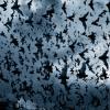 2. I pipistrelli