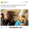 Il vento tra i capelli, che cosa romantica! Ah no, aspetta...