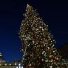 8. Le luci a intermittenza degli alberi di Natale 