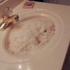 Una sorpresa in bagno