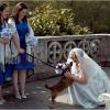Avere il proprio cane nel giorno del matrimonio rende tutto più speciale