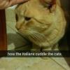 2. Ecco come gli italiani coccolano il gatto