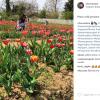 Dato l'incredibile afflusso di pubblico, la prenotazione della visita per godersi la piena fioritura è ormai indispensabile!