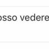 Il fissato