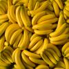 5. Frutti raccolti sei mesi prima