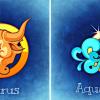 Toro - Acquario