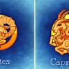Ariete - Capricorno