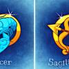 Cancro - Sagittario