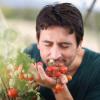7.  Il pomodoro non sta bene con tutto
